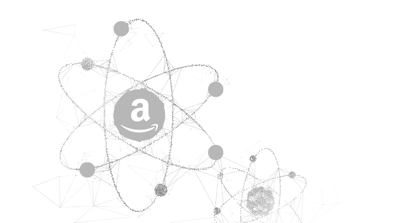 Amazon seller network visualization